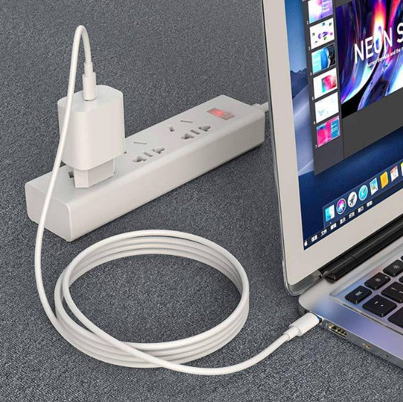Pisen Mr White 1M USB-C to USB-C PD60W Fast Charging Data Cable (CC-PD01-1000) Compatible for iPhone 15 Series